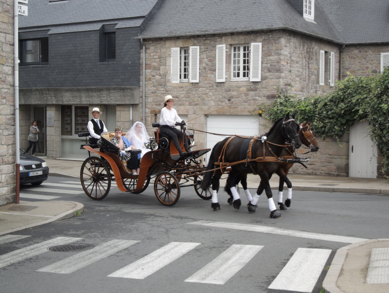 Les Attelages du Rocher